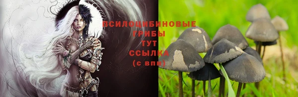 ALPHA-PVP Баксан